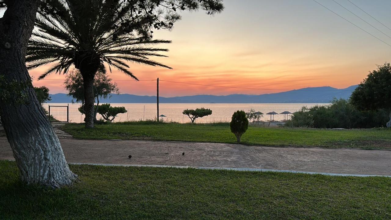 Bouros Seaview Farm Villa การิสโตส ภายนอก รูปภาพ